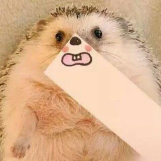 🐳胡后来 🐋
