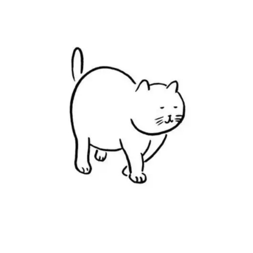 隔壁老喵