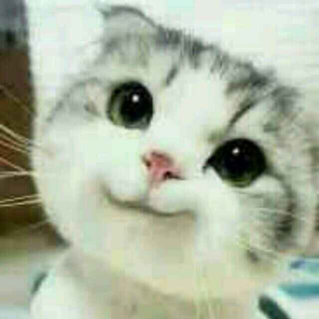 刘东深