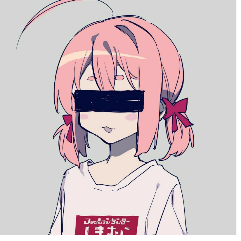 nssneek