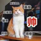 徐衡