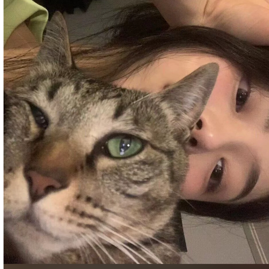 XxxDxx