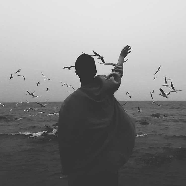 张先生的独角戏