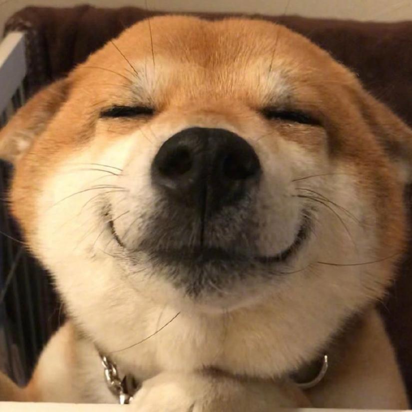 小蜡笔