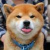 靠谱先生不靠谱