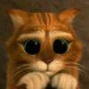 User31204458