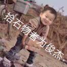 司机～等我！
