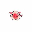 🐷白白