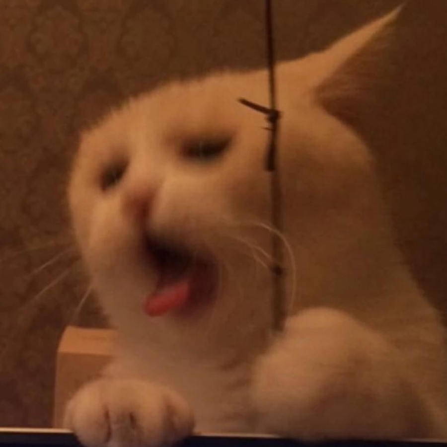 夜神汪