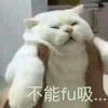 🐈