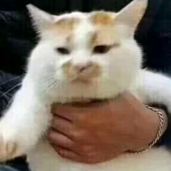 扣脚jo太郎