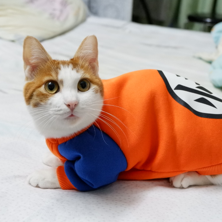 李别