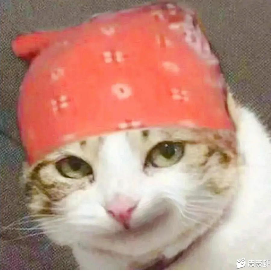 你们跟我有缘