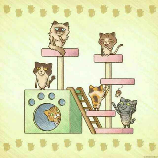 艾因
