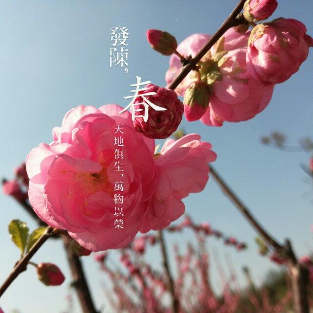 我姓卢我心路