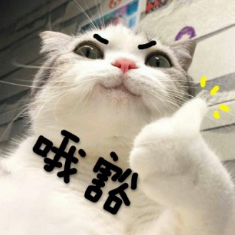 传奇金蛇