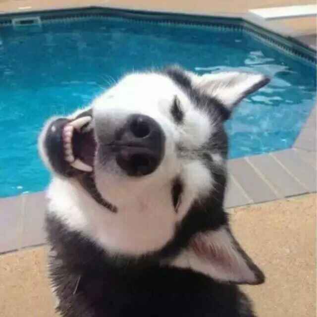 Biubiubiu~