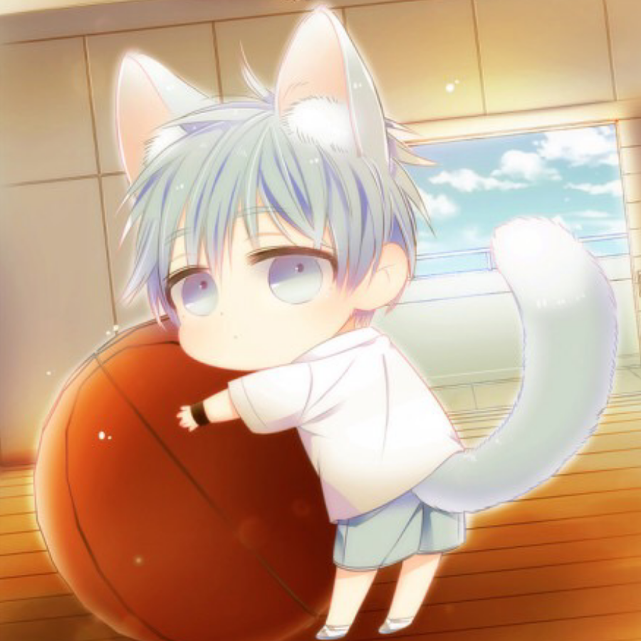 小学生金翅扑街鸟