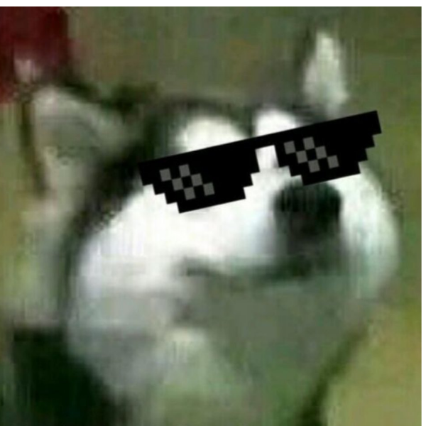 Mr不特别