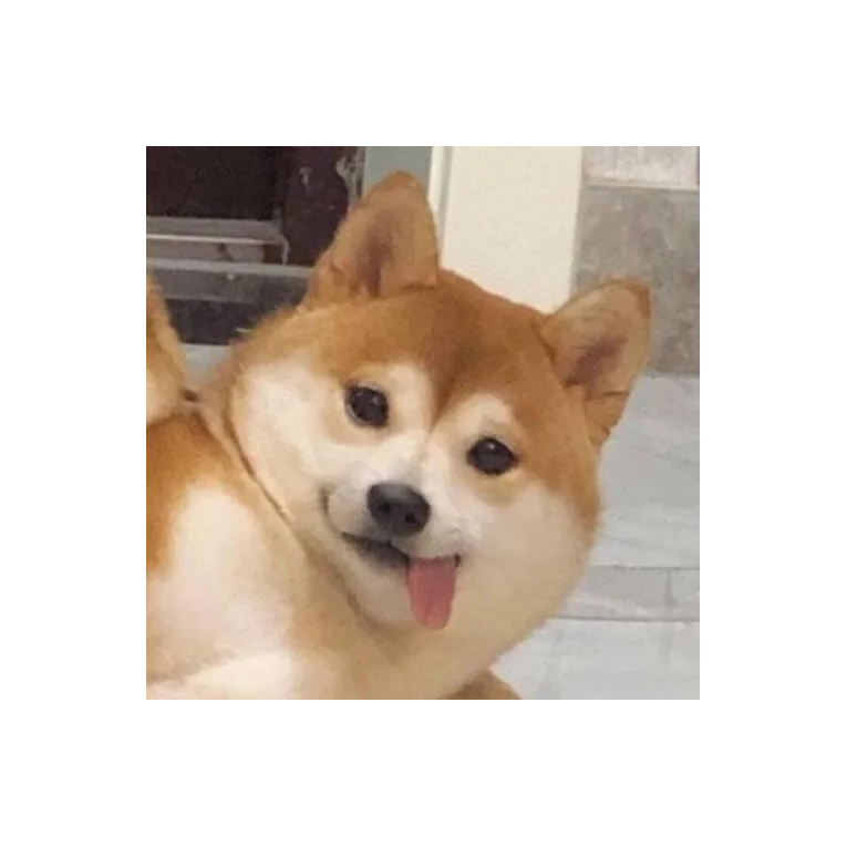 .