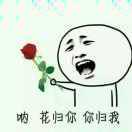 lie-_-