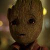 Groot