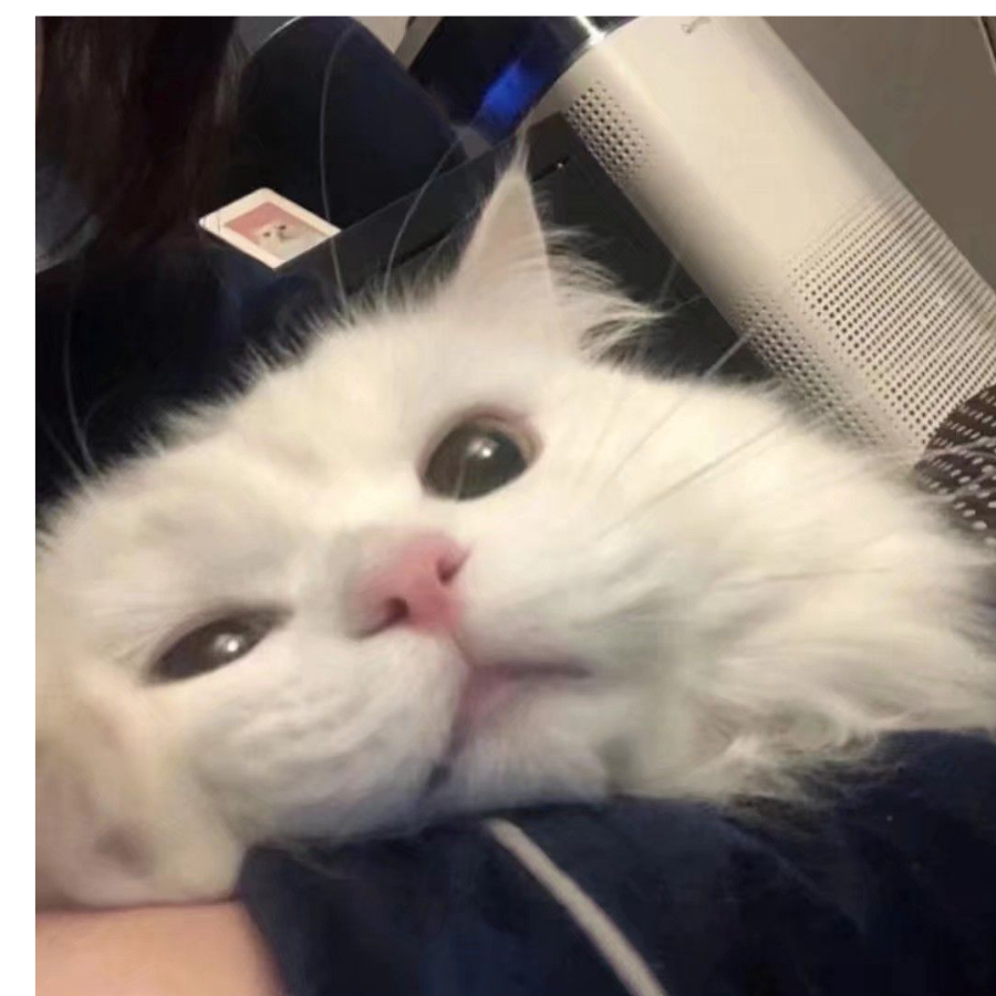 宋云云