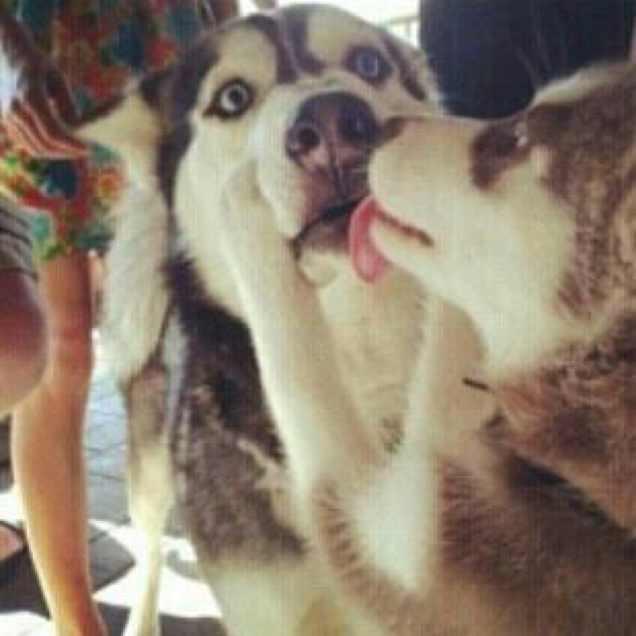 哈哈一笑