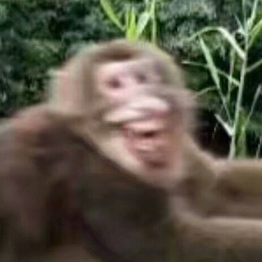 ppppppp