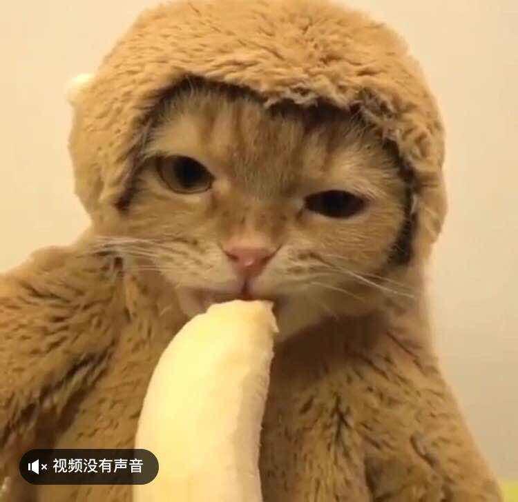 TED__宋文成