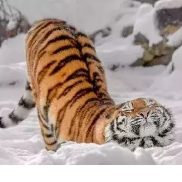 三三