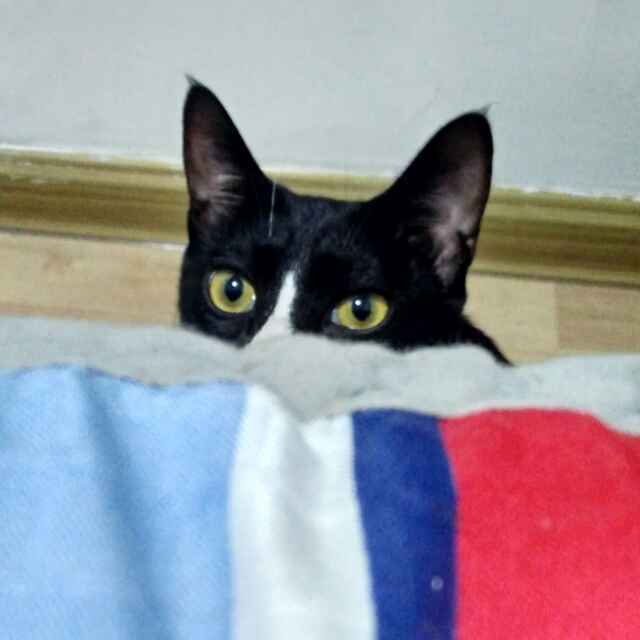 Emma.Y.R~( ´∵｀)