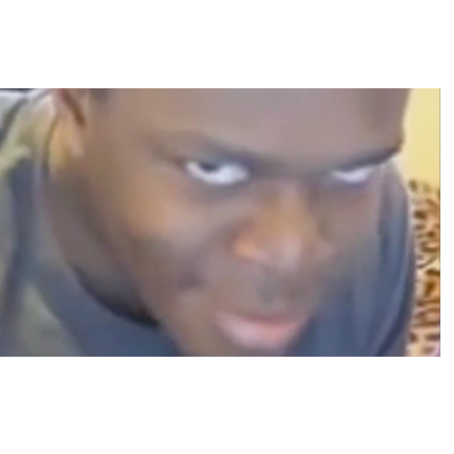 爱老猴真是太好了