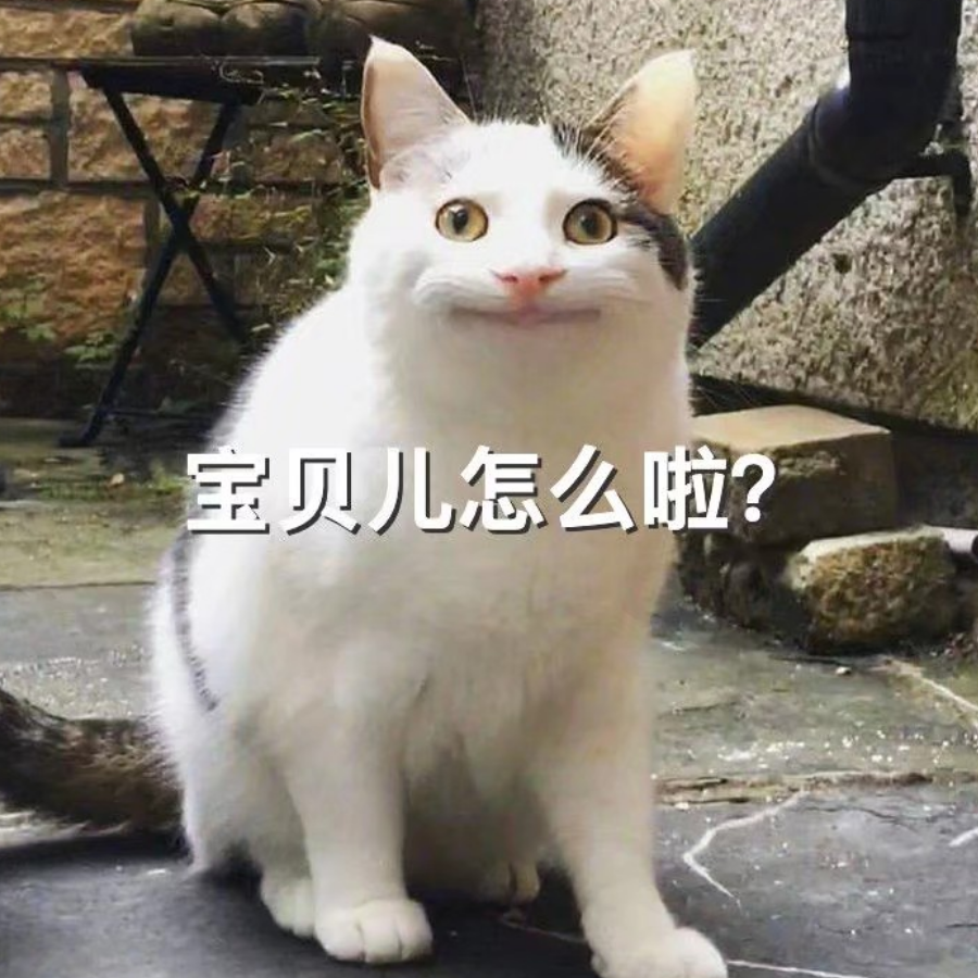 乖巧听话老实不搞事   僵城