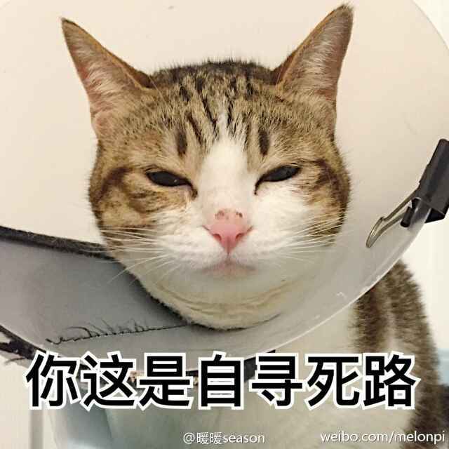 换一个正常的id