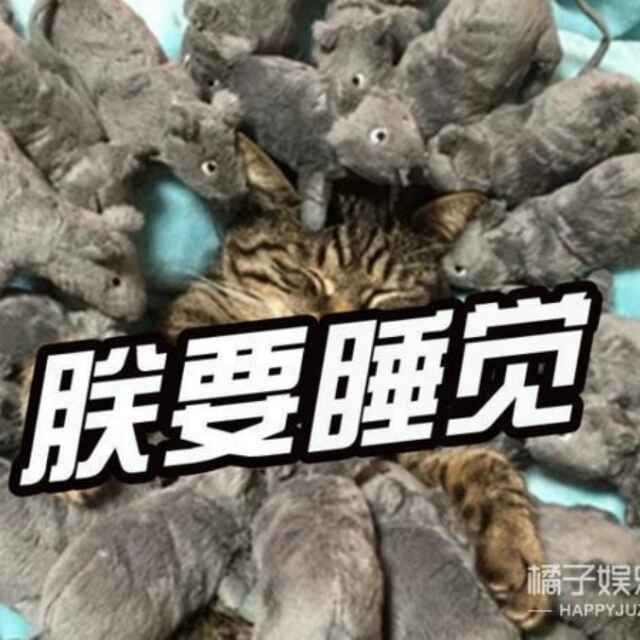 鱿鱼酒绘白贝