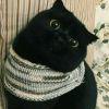 😺