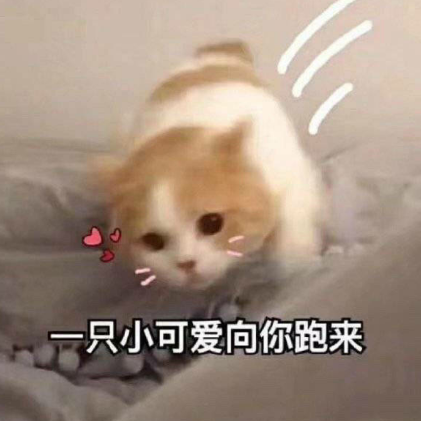 国民爸爸