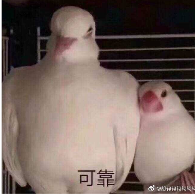 咕子精