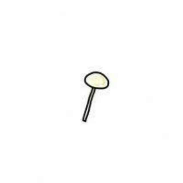 User15359222