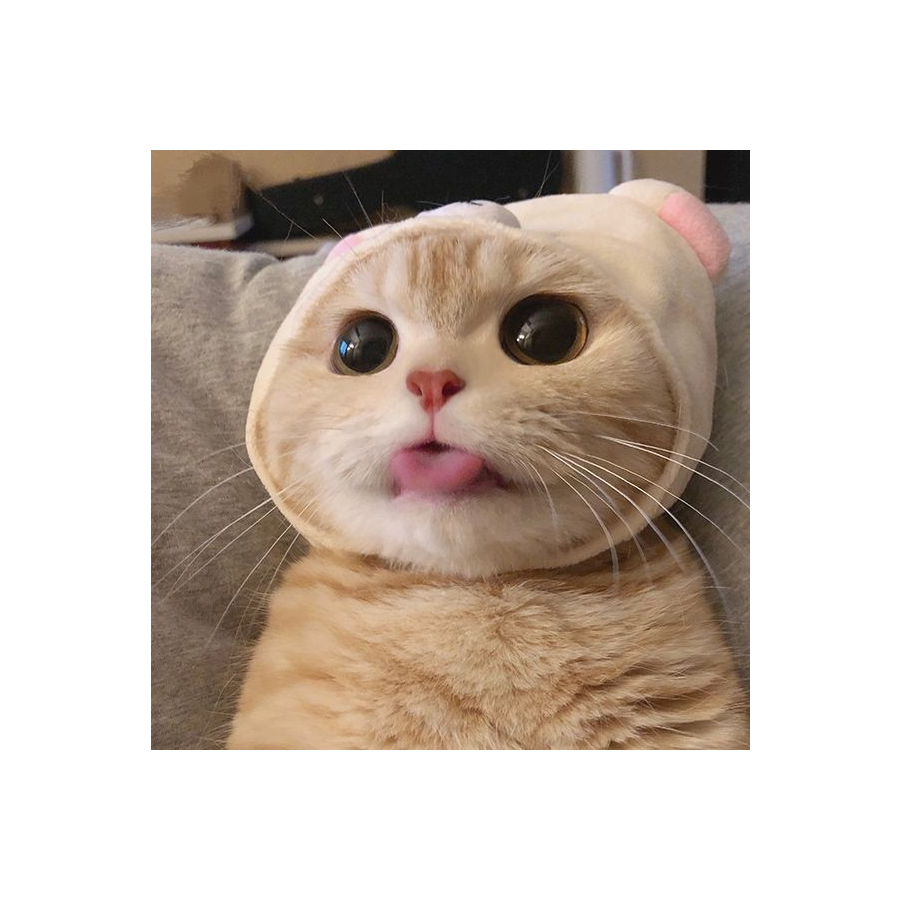 哆啦二狗