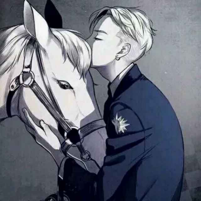 ZY