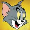 Tom  Cat