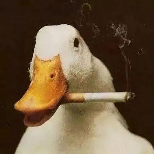 白毛