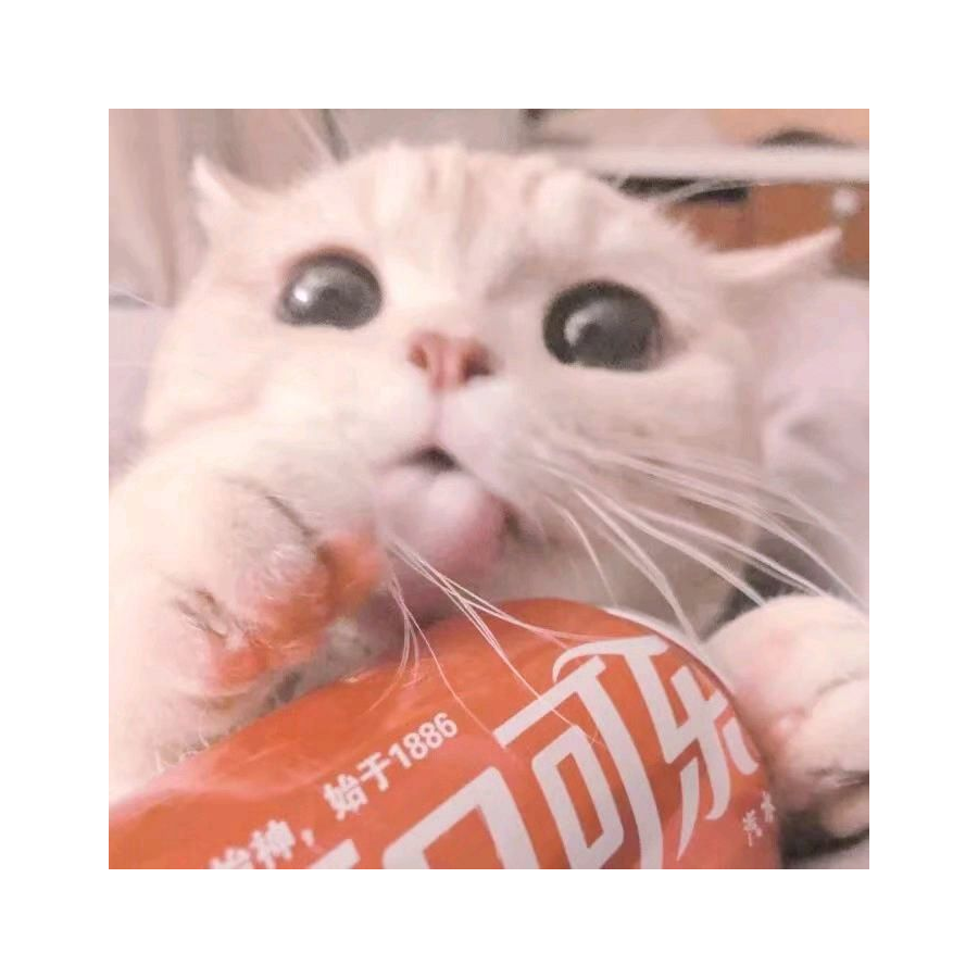 可爱软。