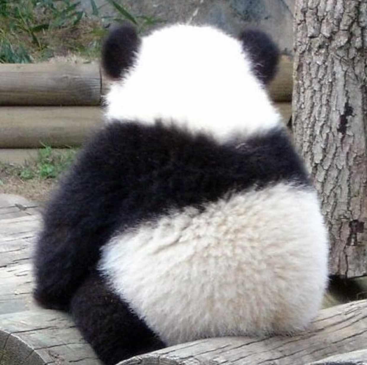 乙骨文