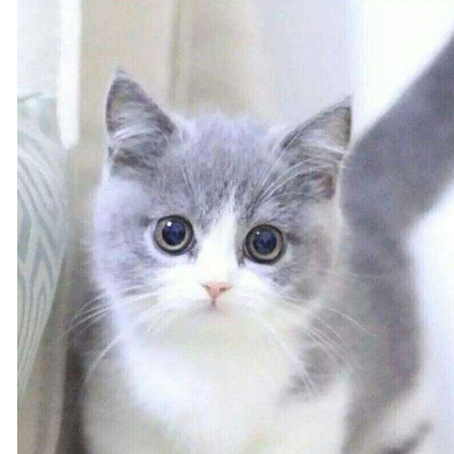 骏骏骏骏骏骏骏骏