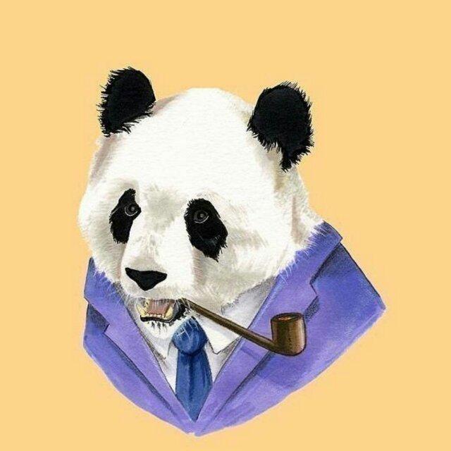 威利旺卡