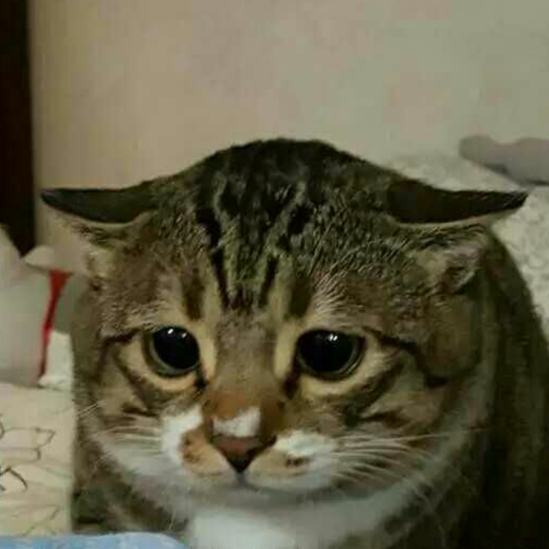 一画天开