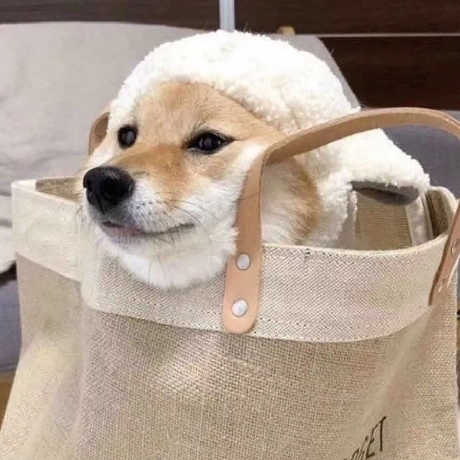 手机用户83829542